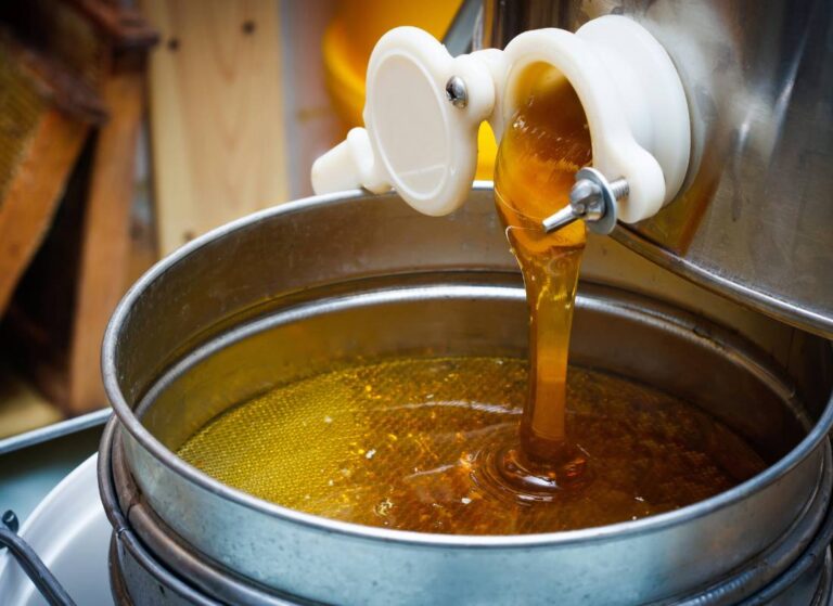 miód traci swoje właściwości