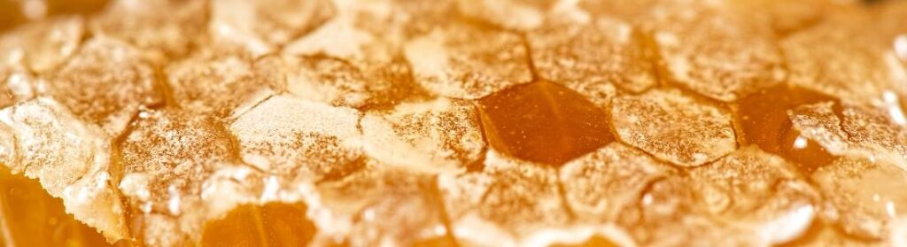 produkty pszczele właściwości