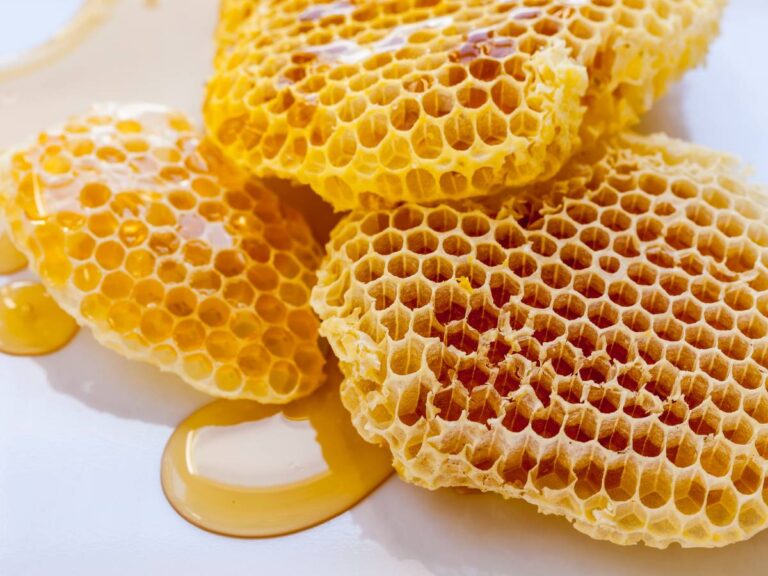 Fragmenty plastra. Obrazek w artykule Plaster miodu. Właściwości i zastosowanie plastra pszczelarskiego