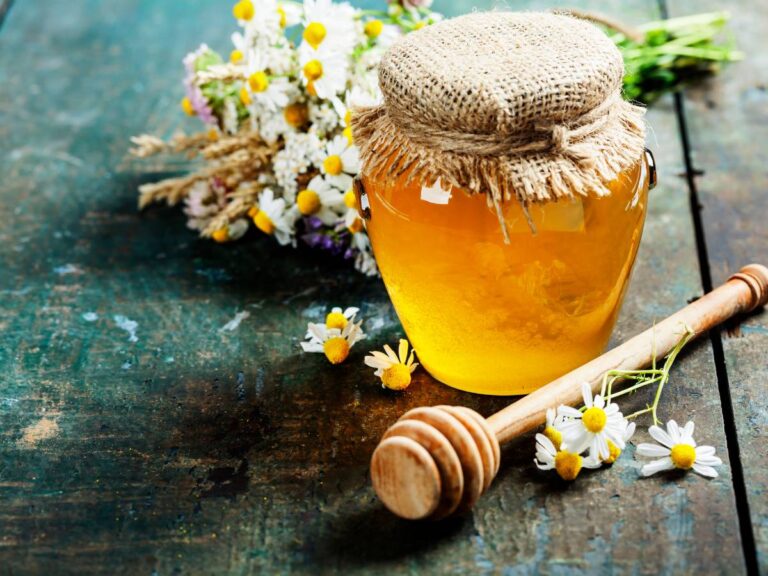 Słoik miodu. Obrazek w artykule Słoiki na miód. Jak wybrać najlepsze opakowanie do przechowywania miodu?