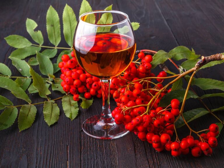Kieliszek i jarzebina. Obrazek w artykule Nalewka z jarzębiny z miodem. Przepis na domowy jarzębiak na miodzie