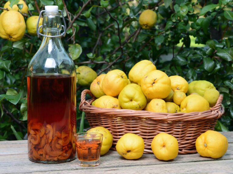 Pigwa i karafka. Obrazek w artykule Nalewka z pigwy z miodem. Przepis na domowy trunek na przeziębienie