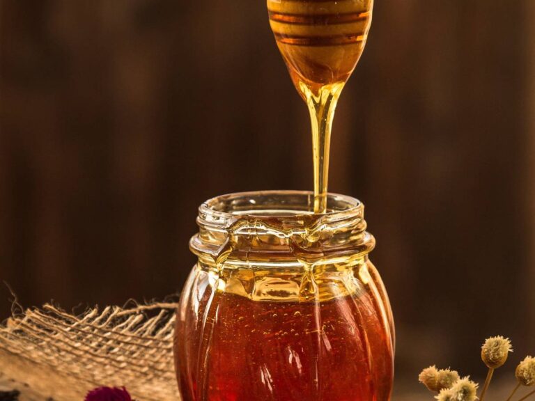 Miód w słłoiku. Obrazek w artykule Refraktometr do miodu. Jak działa i jak używać przyrządu do badania miodu?