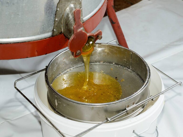 Miodarka do kręcenia miodu. Obrazek w artykule Wirówka do miodu. Jak wybrać najlepszą miodarkę?