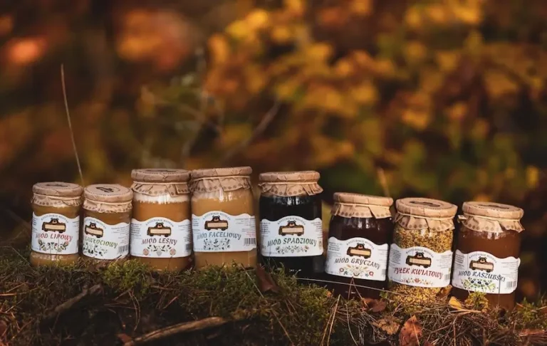 Słoiki z naturalnym miodem lipowym, leśnym, faceliowym, gryczanym, spadziowym, kaszubskim oraz pyłkiem kwiatowym na tle jesiennego lasu – jak wybrać zdrowy miód i pyłek pszczeli?